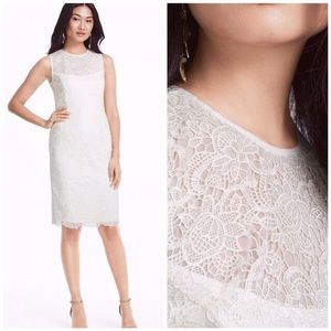 WHBM  OFF WHITE LACE SHEATH  DRESS